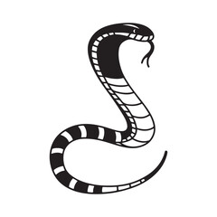 Coral Snake – Striking Colors of a Hidden Predator