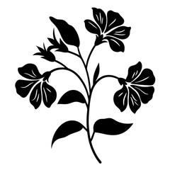 Black and white illustration of sweet pea , flower silhouette vector designs.
