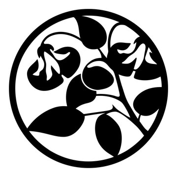 recommend clip art: Black and white illustration of sweet pea , flower silhouette vector designs.