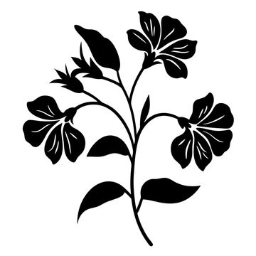 recommend clip art: Black and white illustration of sweet pea , flower silhouette vector designs.