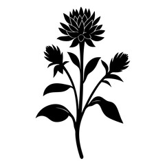Black Silhouette of a Beautiful Flower with Three Blooms and Lush Green Leaves