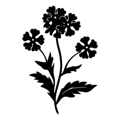 Elegant Black Silhouette of Verbena Flower with Lush Leaves and Petals