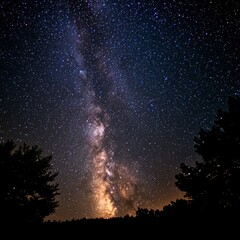 Stunning Night Sky with Milky Way Galaxy Over Silhouette of Trees in a Starry Background