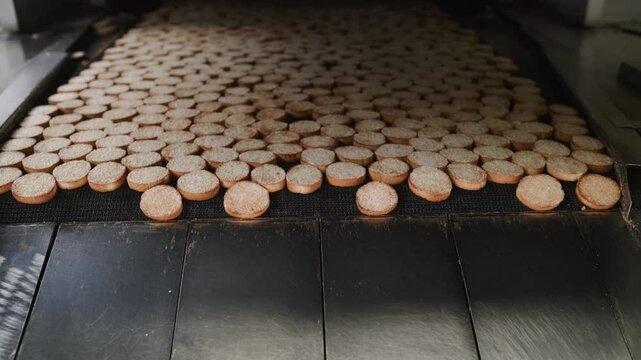 Melba toasts cascading from stainless steel conveyor belt inside industrial food processing facility, showcasing automated manufacturing workflow