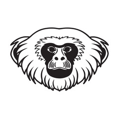 Golden Lion Tamarin – Vibrant Primate of the Rainforest