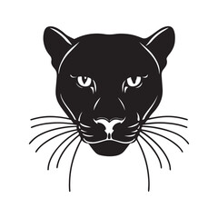 Black Panther – Mysterious Predator of the Jungle