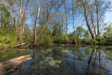 Groundwater source of clear and transparent water