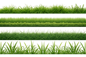 Set of green grass on transparent background