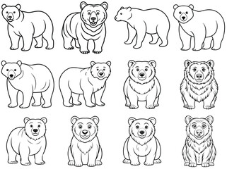 Obraz premium Bear outline vector illustration isolated on white background.