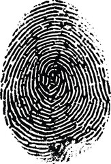 Human fingerprints. Vector realistic fingerprints. Vector illustration.