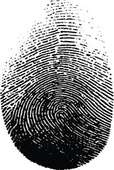 Human fingerprints. Vector realistic fingerprints. Vector illustration.