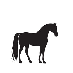 silhouette of a horse