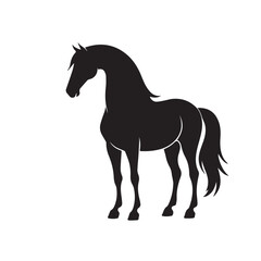 silhouette of a horse
