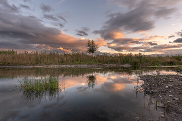 A body of water with a tree in the foreground
