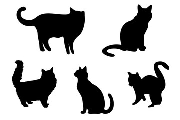 Cats silhouette on transparent background 
