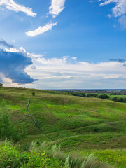 Obraz premium A large, grassy hillside with a few trees and a cloudy sky