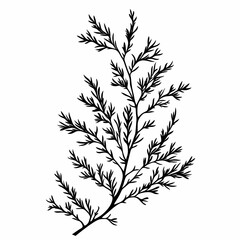 Obraz premium Tropical Botanical Branches Illustration: Organic Greenery Artwork for Interior Decor