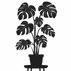 Embrace Nature with Monstera: Modern Indoor Houseplant Decor & Urban Jungle Inspiration