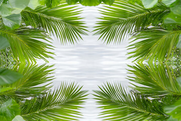 Fototapeta premium Lush green palm leaves frame serene water surface, creating tranquil and refreshing atmosphere