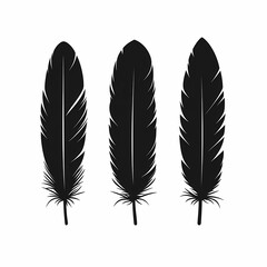 Elegant Black Feathers: Whimsical Hand-Drawn Vector Illustration for Rustic Decor and Design