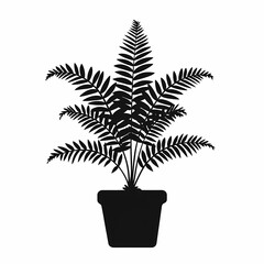 Exotic Indoor Fern in Modern Decorative Pot - Lush Greenery for Tranquil Home Decor and Botanical Interior Design