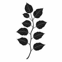 Obraz premium Botanical Silhouette Art. Black and White Leaf Vector for Minimalist Nature Design