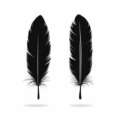 Luxury Black Feather Illustration - Elegant Vector Design with Delicate Bird Silhouette for Aesthetic Decor