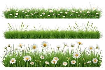 Fresh grass and flowers on transparent background 
