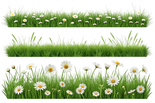 Fresh grass and flowers on transparent background 