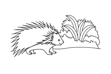 Cute Porcupine Walking Near Bushes Black And White Line Art Illustration