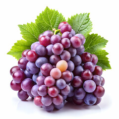 Fototapeta premium bunch of grapes