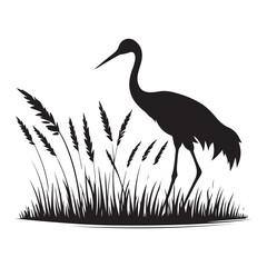 Black Silhouette Crane Standing Near Grass in the Meadow Vector