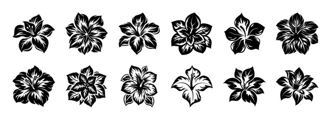 Collection of Twelve Black and White Hibiscus Flower Illustrations Tropical Floral Designs Botanical Art