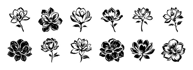 Collection of Twelve Black and White Magnolia Flower Illustrations Botanical Silhouettes Floral Designs