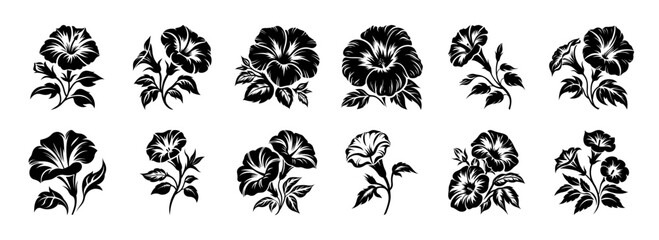 Twelve Black and White Silhouettes of Morning Glory Flowers in Various Arrangements © PixelArtBox