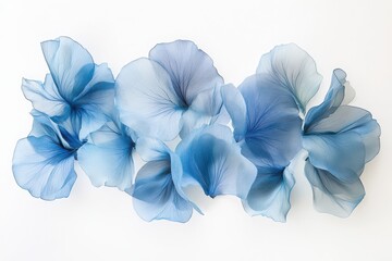 Arrangement of delicate light blue petals on a clean white surface view top