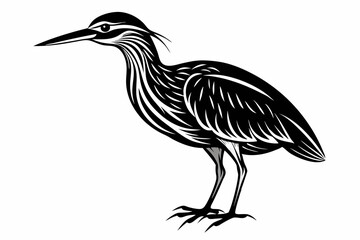 American bittern silhouette black vector