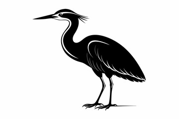 American bittern silhouette black vector