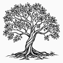 Hand-drawn black and white tree illustration – intricate ink line art of dense leafy tree with visible roots, traditional drawing style, vintage botanical sketch design