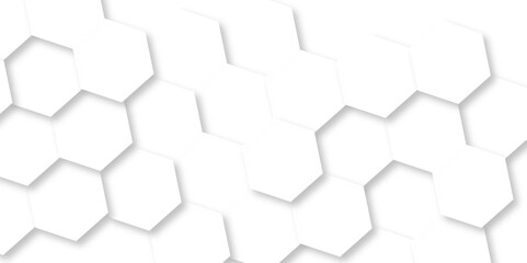 Naklejka premium Minimalistic abstract background with hexagonal lines in light. abstract geometric science technology with template background. Modern white hexagon futuristic wallpaper. Hexagon mesh cell texture.