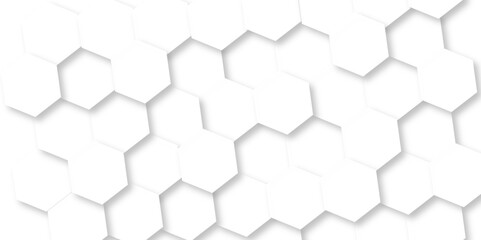 Minimalistic abstract background with hexagonal lines in light. abstract geometric science technology with template background. Modern white hexagon futuristic wallpaper. Hexagon mesh cell texture.