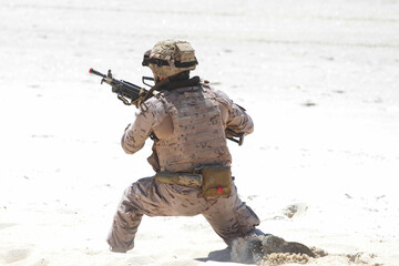 military maneuvers. Infantry, aviation and navy landing	