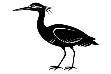 american bittern sihouette black vector