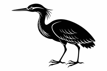 Fototapeta premium american bittern sihouette black vector