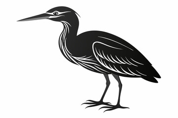 Fototapeta premium american bittern sihouette black vector
