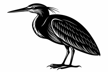 american bittern sihouette black vector
