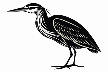 american bittern sihouette black vector
