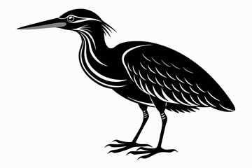 american bittern sihouette black vector