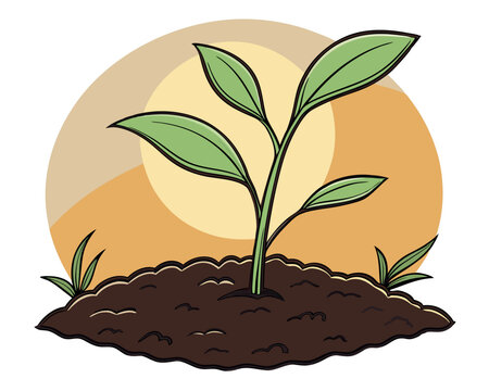 green plant growing in soil, sunny background clip art preview