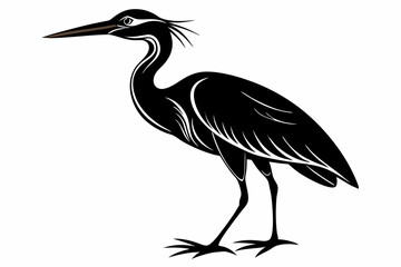 american bittern sihouette black vector